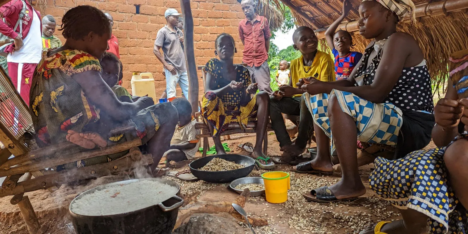 Central African Republic's flag