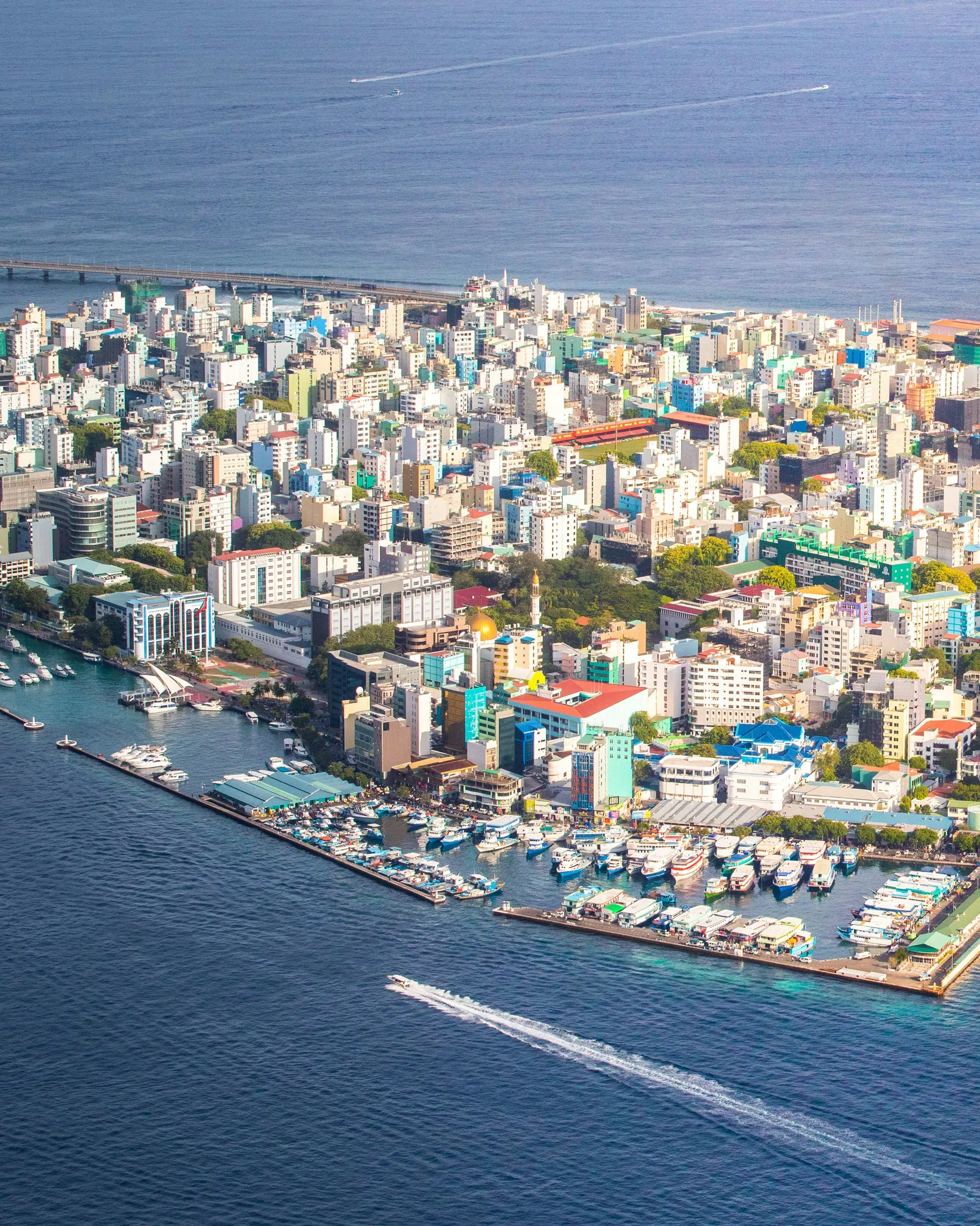 Maldives's flag